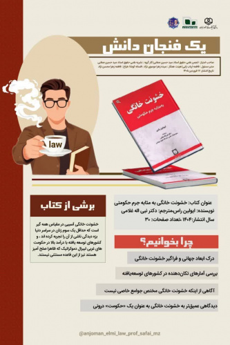 خشونت خانگی به مثابه جرم حکومتی